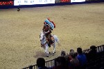 Quadrille - 00334